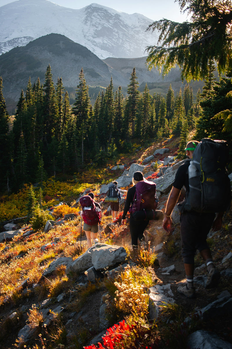Wilderness Guides