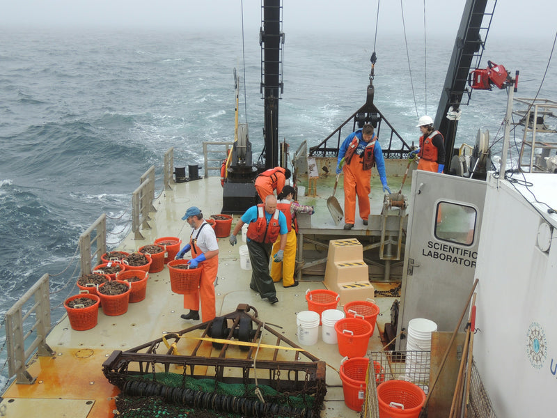 Maritime & Offshore Operations